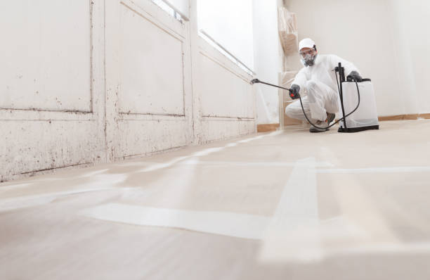 24/7 Emergency Mold Remediation experts in Nashville, TN
