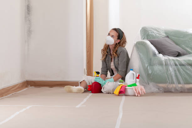Reliable Mold Remediation contractor in Nashville, TN by Mold Remediation HQ